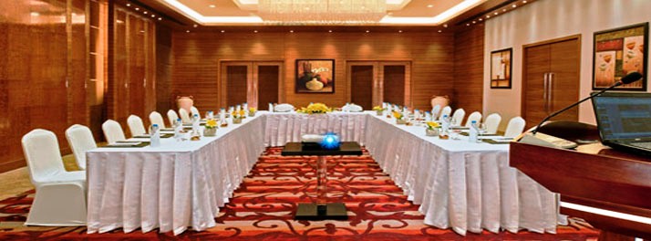 196/Fortune Park D J Avenue - New Delhi 03.jpg